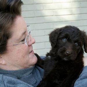 Meet your Posher, Sally